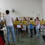 Saggio musica 2014 Borgnano