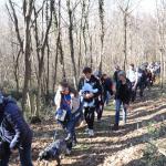 Alla scoperta delle grotte di Borgnano